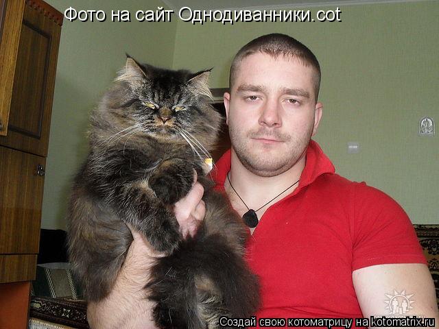 Котоматрица: Фото на сайт Однодиванники.cot