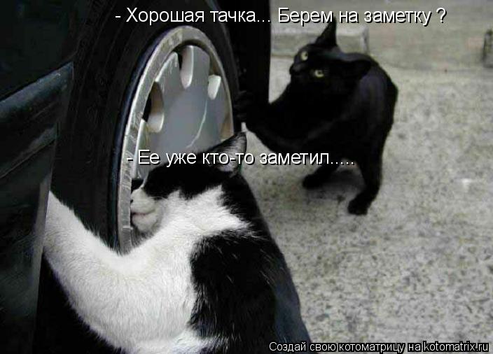 Котоматрица: - Хорошая тачка... Берем на заметку ? - Ее уже кто-то заметил.....