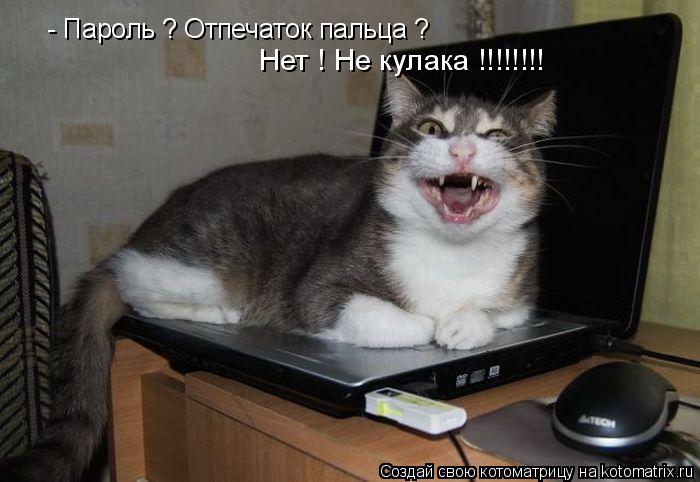 Котоматрица: - Пароль ? Отпечаток пальца ?  Нет ! Не кулака !!!!!!!!
