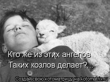 Котоматрица: Таких козлов делает?... Кто же из этих ангелов