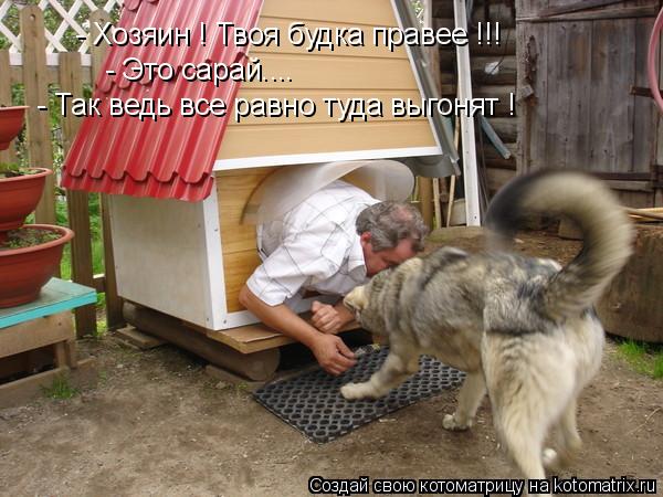 Котоматрица: - Хозяин ! Твоя будка правее !!! - Это сарай.... - Так ведь все равно туда выгонят !
