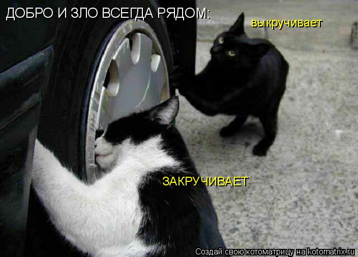 Котоматрица: ДОБРО И ЗЛО ВСЕГДА РЯДОМ: выкручивает ЗАКРУЧИВАЕТ