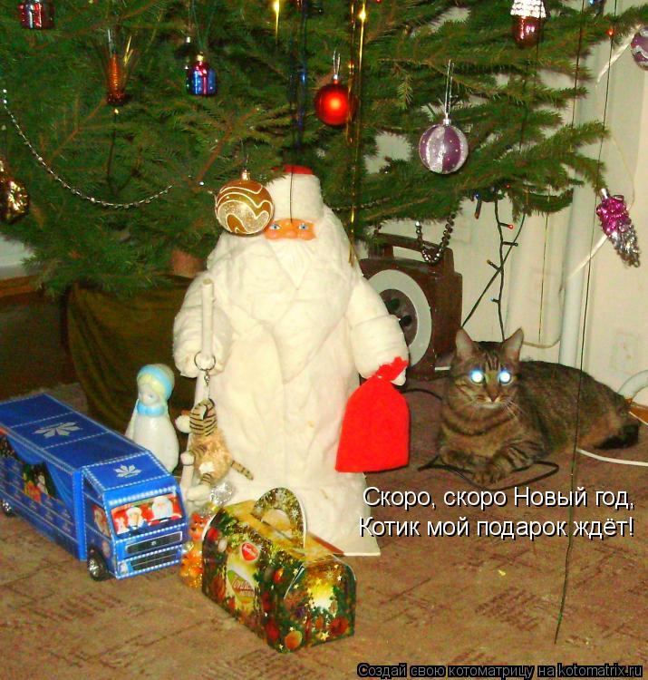 Котоматрица: Скоро, скоро Новый год, Котик мой подарок ждёт!
