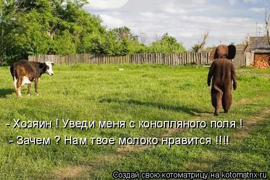 - Хозяин ! Уведи меня с конопляного поля ! - Зачем ? Нам твое молоко нравится !!!!... Котоматрица: - Хозяин ! Уведи меня с конопляного поля ! - Зачем ? Нам твое молоко нравится !!!!