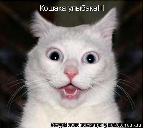 Кошака улыбака!!!... Котоматрица: Кошака улыбака!!!