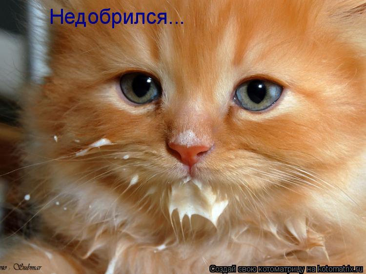 Недобрился...... Котоматрица: Недобрился...