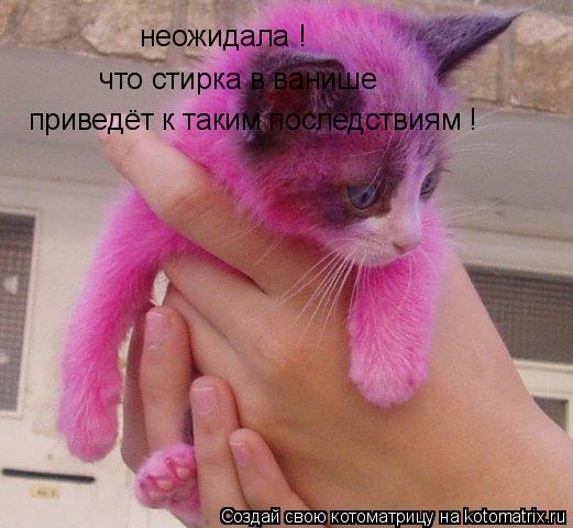 неожидала ! что стирка в ванише приведёт к таким последствиям !... Котоматрица: неожидала ! что стирка в ванише приведёт к таким последствиям !