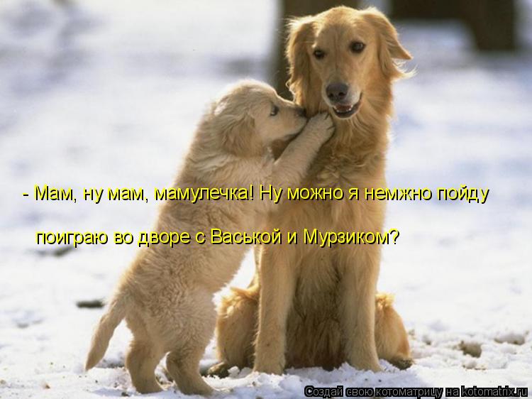 - Мам, ну мам, мамулечка! Ну можно я немжно пойду поиграю во дворе с Васькой и Мурзиком?... Котоматрица: - Мам, ну мам, мамулечка! Ну можно я немжно пойду поиграю во дворе с Васькой и Мурзиком?