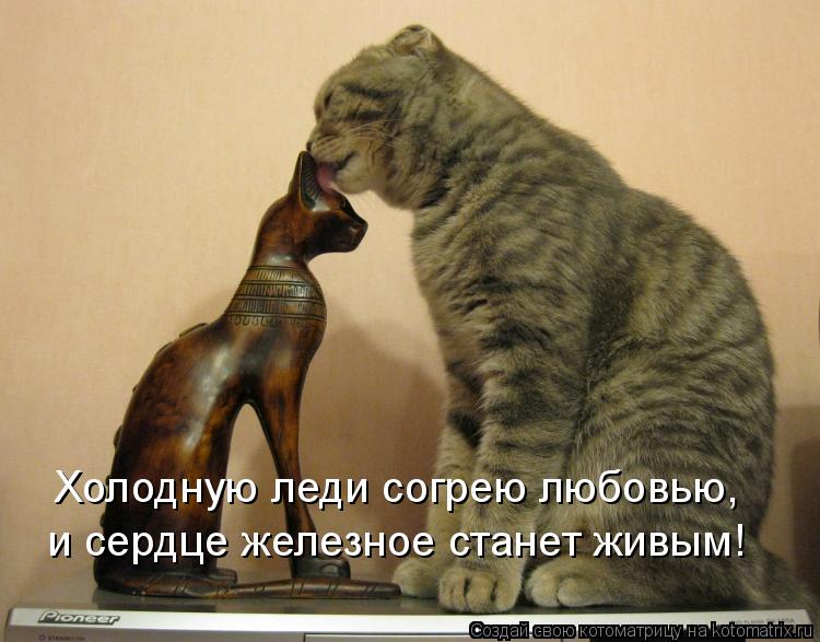 Котоматрица: Холодную леди согрею любовью, и сердце железное станет живым!