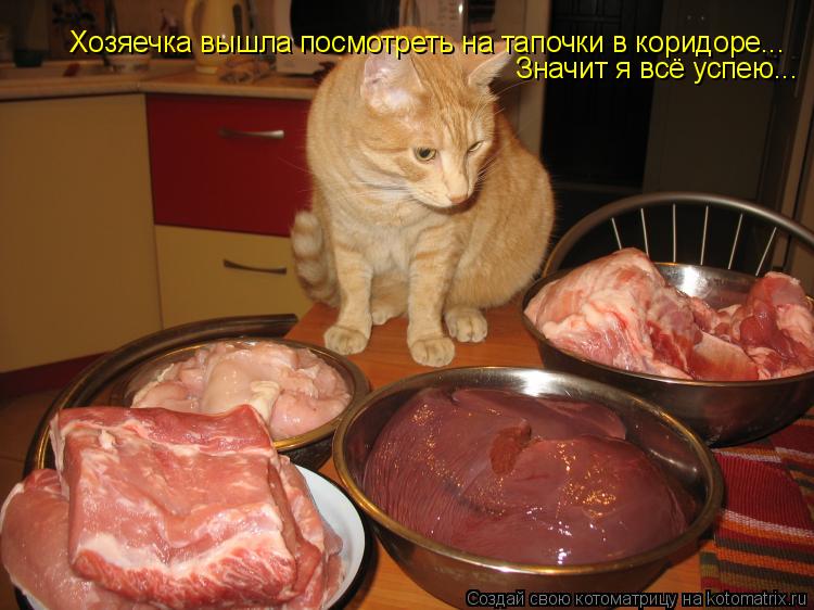 Хозяечка вышла посмотреть на тапочки в коридоре... Значит я всё успею...... Котоматрица: Хозяечка вышла посмотреть на тапочки в коридоре... Значит я всё успею...