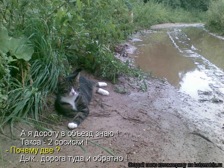 А я дорогу в объезд знаю ! Такса - 2 сосиски ! - Почему две ? Дык.. дорога туда и обратно !... Котоматрица: А я дорогу в объезд знаю ! Такса - 2 сосиски ! - Почему две ? Дык.. дорога туда и обратно !