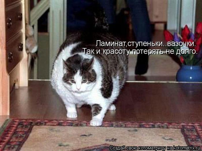 Ламинат,ступеньки..вазочки. Так и красоту потерять не долго.... Котоматрица: Ламинат,ступеньки..вазочки. Так и красоту потерять не долго.