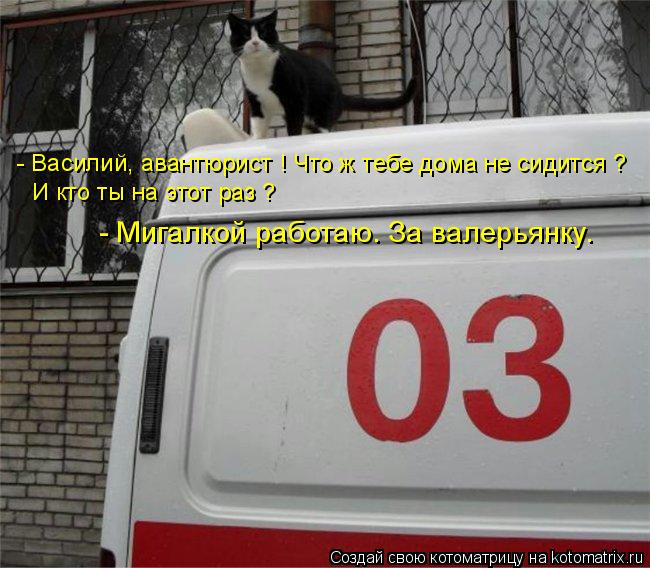 - Василий, авантюрист ! Что ж тебе дома не сидится ? И кто ты на этот раз ? - Мигалкой работаю. За ва... Котоматрица: - Василий, авантюрист ! Что ж тебе дома не сидится ? И кто ты на этот раз ? - Мигалкой работаю. За валерьянку.