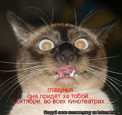 глазунья... она придёт за тобой... в октябре, во всех кинотеатрах...... Котоматрица: глазунья... она придёт за тобой... в октябре, во всех кинотеатрах...
