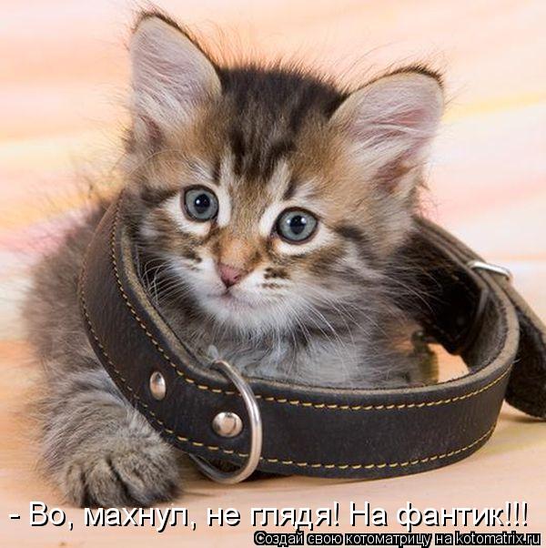 - Во, махнул, не глядя! На фантик!!!... Котоматрица: - Во, махнул, не глядя! На фантик!!!