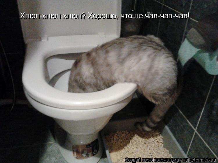 Хлюп-хлюп-хлюп? Хорошо, что не чав-чав-чав!... Котоматрица: Хлюп-хлюп-хлюп? Хорошо, что не чав-чав-чав!