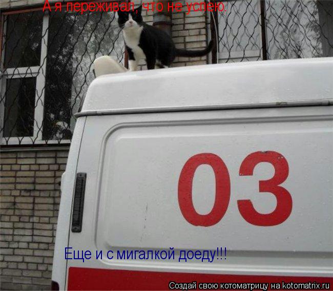 Еще и с мигалкой доеду!!! А я переживал, что не успею.... Котоматрица: Еще и с мигалкой доеду!!! А я переживал, что не успею.