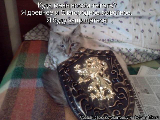 Куда меня носом тыкать? Я древнее и благородное животное. Я буду защищаться!... Котоматрица: Куда меня носом тыкать? Я древнее и благородное животное. Я буду защищаться!
