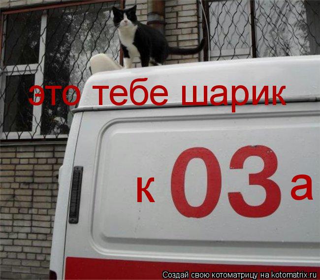к а это тебе шарик... Котоматрица: к а это тебе шарик