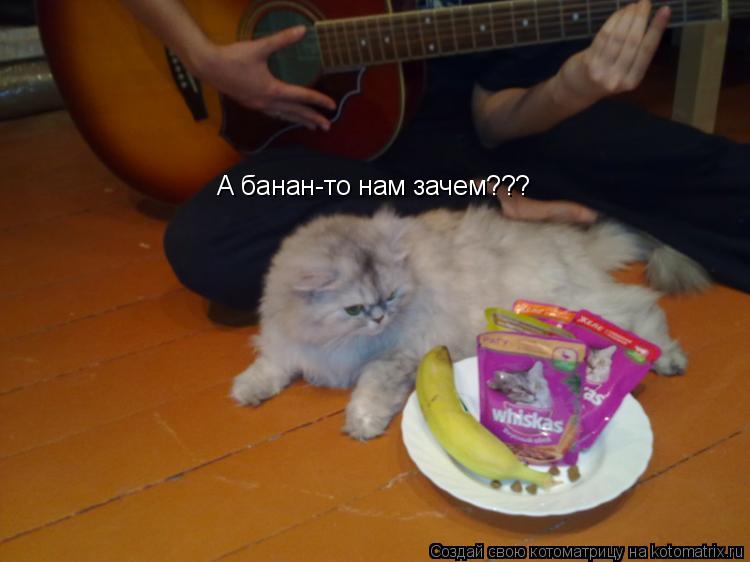 А банан-то нам зачем???... Котоматрица: А банан-то нам зачем???