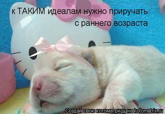 к ТАКИМ идеалам нужно приручать с раннего возраста... Котоматрица: к ТАКИМ идеалам нужно приручать с раннего возраста