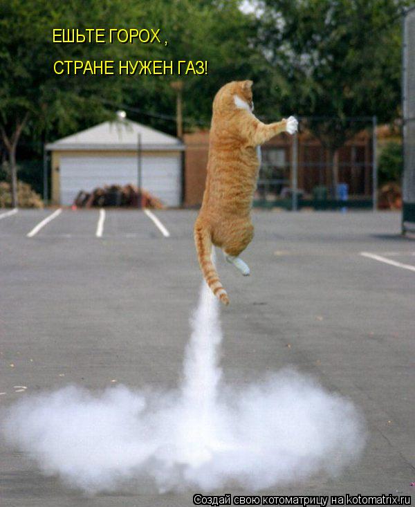 ЕШЬТЕ ГОРОХ СТРАНЕ НУЖЕН ГАЗ! ,... Котоматрица: ЕШЬТЕ ГОРОХ СТРАНЕ НУЖЕН ГАЗ! ,