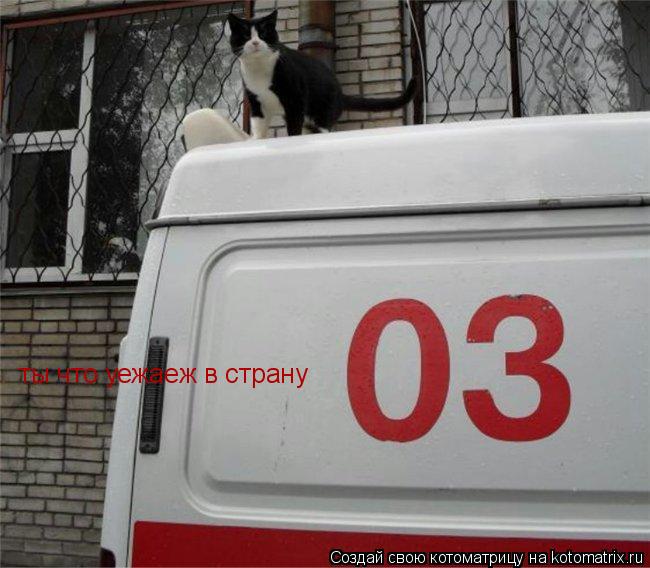 ты что уежаеж в страну... Котоматрица: ты что уежаеж в страну