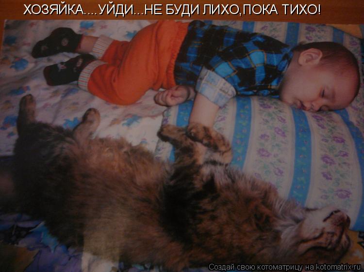 ХОЗЯЙКА....УЙДИ...НЕ БУДИ ЛИХО,ПОКА ТИХО!... Котоматрица: ХОЗЯЙКА....УЙДИ...НЕ БУДИ ЛИХО,ПОКА ТИХО!