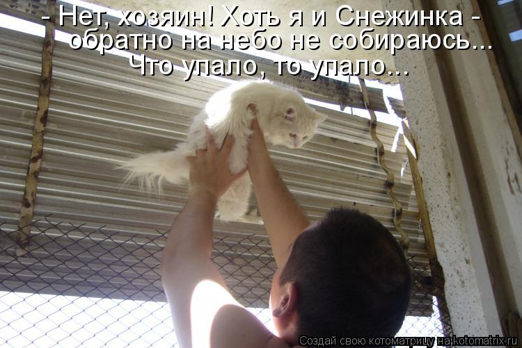 Котоматрица: - Нет, хозяин! Хоть я и Снежинка -  обратно на небо не собираюсь...  Что упало, то упало...