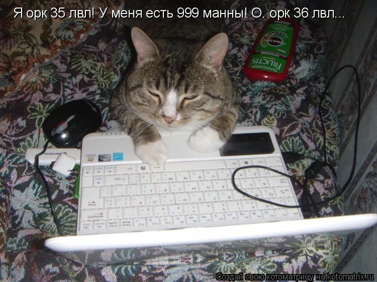 Я орк 35 лвл! У меня есть 999 манны! О. орк 36 лвл...... Котоматрица: Я орк 35 лвл! У меня есть 999 манны! О. орк 36 лвл...