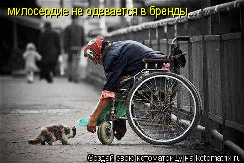 милосердие не одевается в бренды...... Котоматрица: милосердие не одевается в бренды...