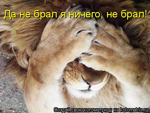 Да не брал я ничего, не брал!... Котоматрица: Да не брал я ничего, не брал!
