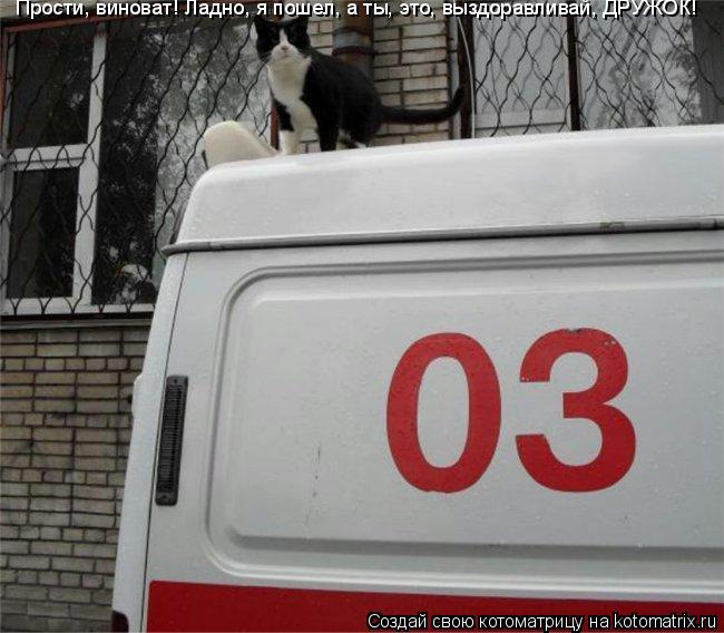 Прости, виноват! Ладно, я пошел, а ты, это, выздоравливай, ДРУЖОК!... Котоматрица: Прости, виноват! Ладно, я пошел, а ты, это, выздоравливай, ДРУЖОК!