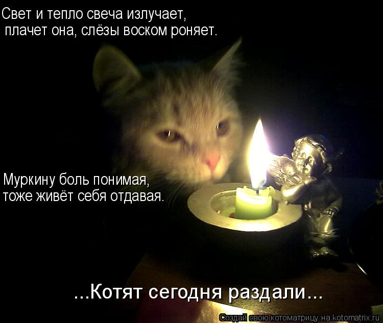 ...Котят сегодня раздали... Свет и тепло свеча излучает, плачет она, слёзы воском роняет. Муркину бол... Котоматрица: ...Котят сегодня раздали... Свет и тепло свеча излучает, плачет она, слёзы воском роняет. Муркину боль понимая, тоже живёт себя отдавая.