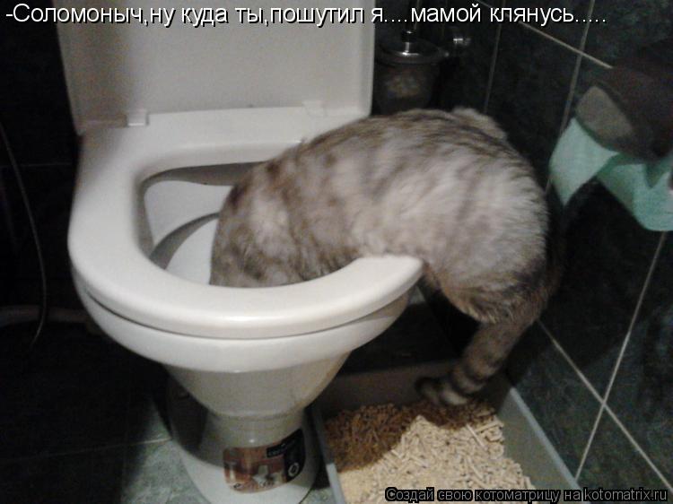 -Соломоныч,ну куда ты,пошутил я.... мамой клянусь........ Котоматрица: -Соломоныч,ну куда ты,пошутил я.... мамой клянусь.....
