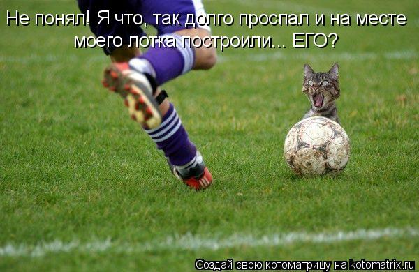 Не понял! Я что, так долго проспал и на месте моего лотка построили... ЕГО?... Котоматрица: Не понял! Я что, так долго проспал и на месте моего лотка построили... ЕГО?