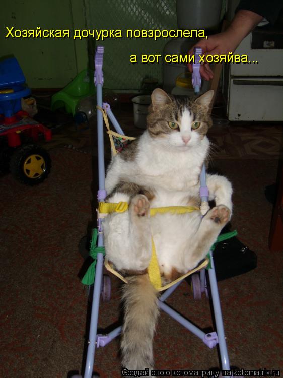 Хозяйская дочурка повзрослела, а вот сами хозяйва...... Котоматрица: Хозяйская дочурка повзрослела, а вот сами хозяйва...