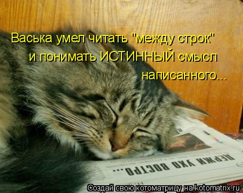 Васька умел читать "между строк" и понимать ИСТИННЫЙ смысл написанного...... Котоматрица: Васька умел читать "между строк" и понимать ИСТИННЫЙ смысл написанного...