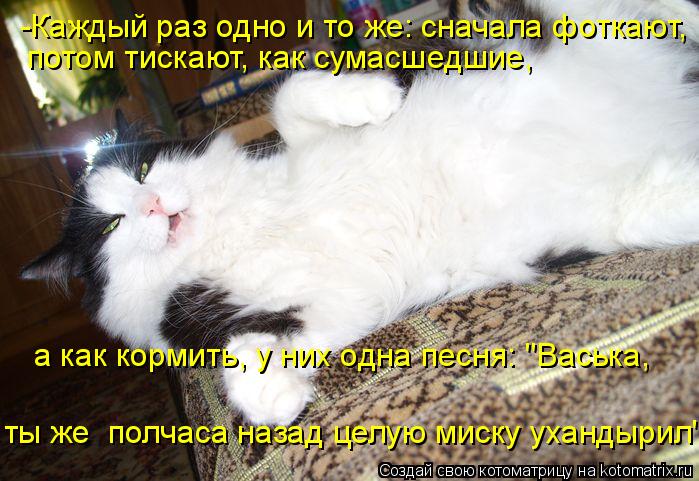 -Каждый раз одно и то же: сначала фоткают, потом тискают, как сумасшедшие, а как кормить, у них одн... Котоматрица: -Каждый раз одно и то же: сначала фоткают, потом тискают, как сумасшедшие, а как кормить, у них одна песня: "Васька, ты же полчаса назад целую