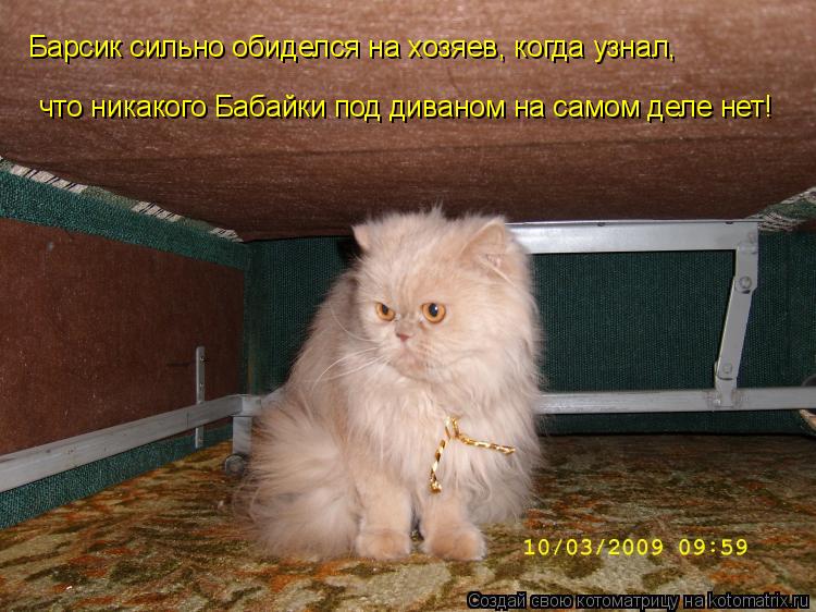 Барсик сильно обиделся на хозяев, когда узнал, что никакого Бабайки под диваном на самом деле нет!... Котоматрица: Барсик сильно обиделся на хозяев, когда узнал, что никакого Бабайки под диваном на самом деле нет!