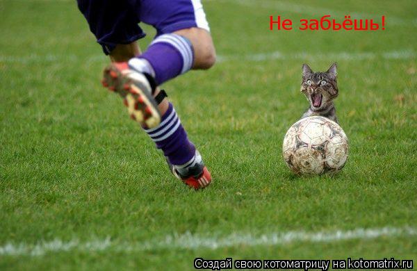 Не забьёшь!... Котоматрица: Не забьёшь!
