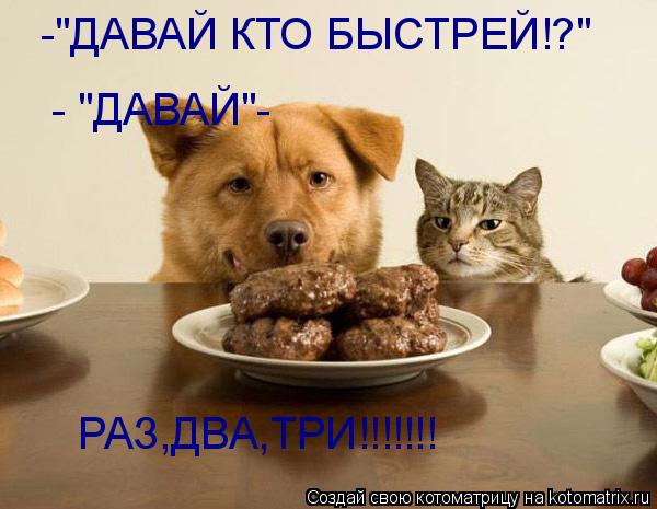 -"ДАВАЙ КТО БЫСТРЕЙ!?" - "ДАВАЙ"- РАЗ,ДВА,ТРИ!!!!!!!... Котоматрица: -"ДАВАЙ КТО БЫСТРЕЙ!?" - "ДАВАЙ"- РАЗ,ДВА,ТРИ!!!!!!!