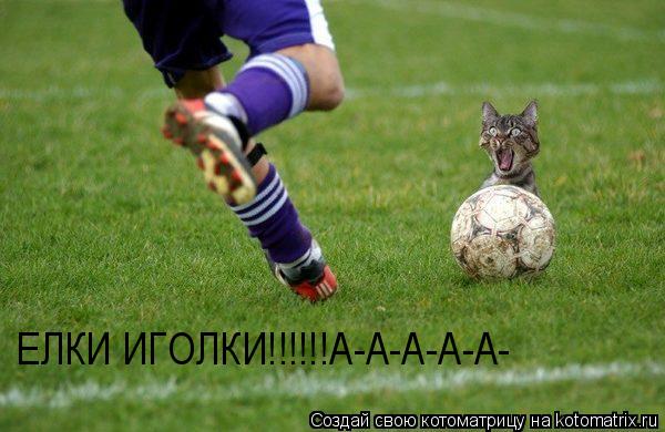 ЕЛКИ ИГОЛКИ!!!!!!А-А-А-А-А-... Котоматрица: ЕЛКИ ИГОЛКИ!!!!!!А-А-А-А-А-