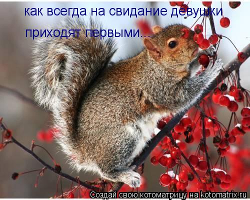 как всегда на свидание девушки приходят первыми...... Котоматрица: как всегда на свидание девушки приходят первыми...