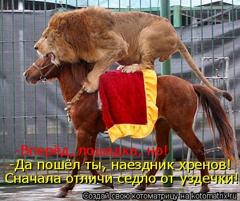 -Вперёд, лошадка, но! -Да пошёл ты, наездник хренов! Сначала отличи седло от уздечки! Сначала отличи ... Котоматрица: -Вперёд, лошадка, но! -Да пошёл ты, наездник хренов! Сначала отличи седло от уздечки! Сначала отличи седло от уздечки!