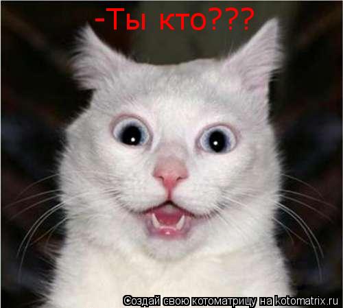 -Ты кто???... Котоматрица: -Ты кто???