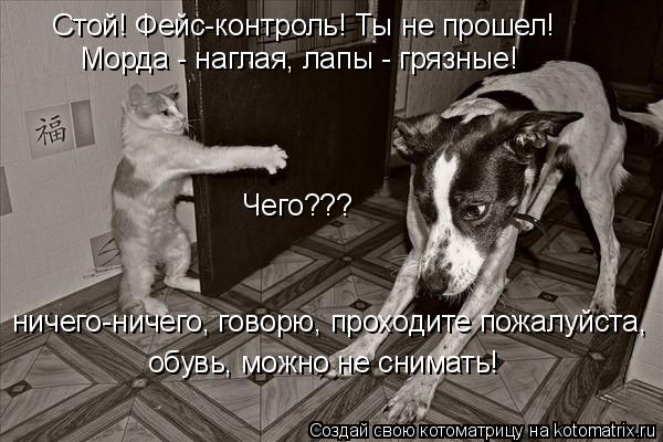 Стой! Фейс-контроль! Ты не прошел! Морда - наглая, лапы - грязные! Чего??? ничего-ничего, говорю, про... Котоматрица: Стой! Фейс-контроль! Ты не прошел! Морда - наглая, лапы - грязные! Чего??? ничего-ничего, говорю, проходите пожалуйста, обувь, можно не снимать!