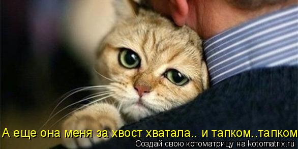 1044729.jpg