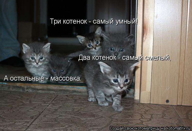 Два котенок - самый смелый, Три котенок - самый умный! А остальные - массовка.... Котоматрица: Два котенок - самый смелый, Три котенок - самый умный! А остальные - массовка.
