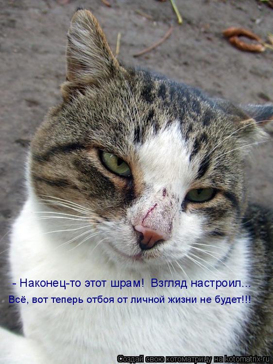- Наконец-то этот шрам! Взгляд настроил... Всё, вот теперь отбоя от личной жизни не будет!!!... Котоматрица: - Наконец-то этот шрам! Взгляд настроил... Всё, вот теперь отбоя от личной жизни не будет!!!
